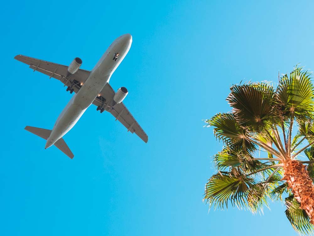 wordpress icon image